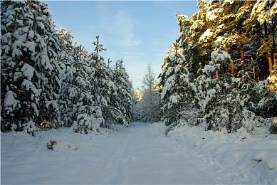 SE新本格悬疑冒险游戏《春逝百年抄》 今日于主机平台发售