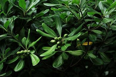 顽皮狗解释为何《神海》首次登陆PC为最新两部作品